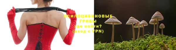 стафф Богданович