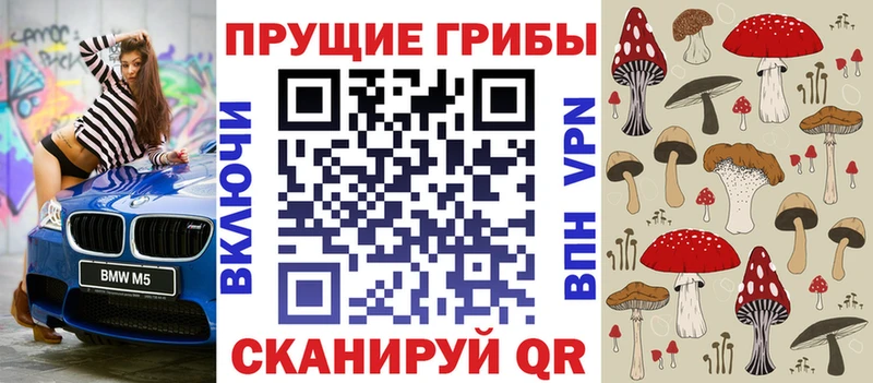 Купить закладки  Петров Вал  Галлюциногенные грибы Magic Shrooms 